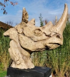 Animales - Animalitos de colección