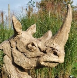 Animales - Animalitos de colección