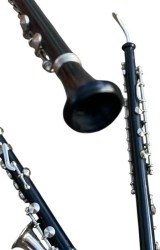 Música - Todo en música