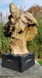 Animales - Animalitos de colección