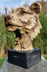 Animales - Animalitos de colección