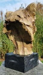 Animales - Animalitos de colección