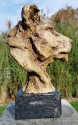 Animales - Animalitos de colección