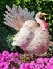 pavo-real-escultura