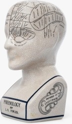 Escuela - Educación - Colegio