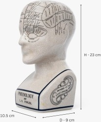 Escuela - Educación - Colegio