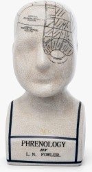 busto-frenología