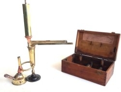 Brandy - Coñac - Whisky -Alcohol