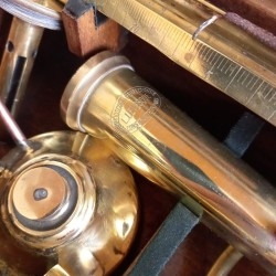 Brandy - Coñac - Whisky -Alcohol