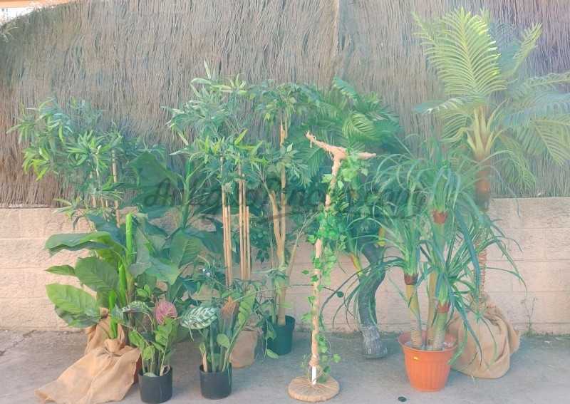 Escaparates - Escaparatismo