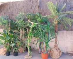 Escaparates - Escaparatismo