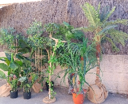 Escaparates - Escaparatismo