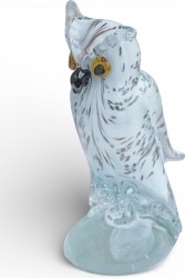 Aves - Pájaros - Pajaritos - Birds