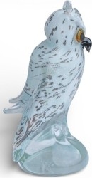 Aves - Pájaros - Pajaritos - Birds