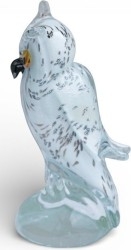 Aves - Pájaros - Pajaritos - Birds