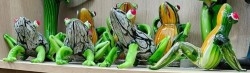 Ranas - Ranitas - Sapos - Anfibios