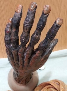 Mano momificada de 6 dedos. Réplica. Artesanía realista. Muy curiosa.