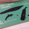 Manual Ballenas t Delfines del Cantábrico.Año 1981.