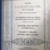 FACSÍMIL TRATADO LA ANATOMÍA DEL HOMBRE TRES TOMOS (Doctor Bourgery / N.H. Jacob)