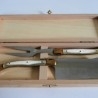 Cuchillo para queso con tenedor en caja de madera. Mangos de hueso. Años 70. Maravilloso conjunto.