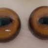 Ojos de animales para taxidermia o manualidades. 2 cm de diámetro. Pareja.