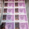 Lotería colección. Series de Décimos del año 1.991. Nº 13632 y 89449