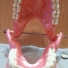 Dentadura. Modelo anatómico de conjunto de dientes. USO DIDÁCTICO.