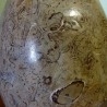 Huevos pulidos artesanalmente de moluscos y crustáceos fósiles. Pareja.5
