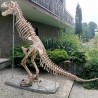 Dinosaurio. Tiranosaurio Rex. Años 90. Desmontable. Gran tamaño. 2 m de largo.