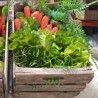 Cajas de verduras y hortalizas ficticias para atrezzo o decoración. Preparamos sus decoraciones de encargo.