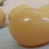 Huevos de gallina. Color Marrón. Imitación alimentos. 12 unidades.