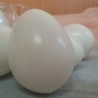 Huevos de gallina. Color Blanco. Imitación alimentos. 12 unidades.
