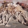 esqueletos-replicas